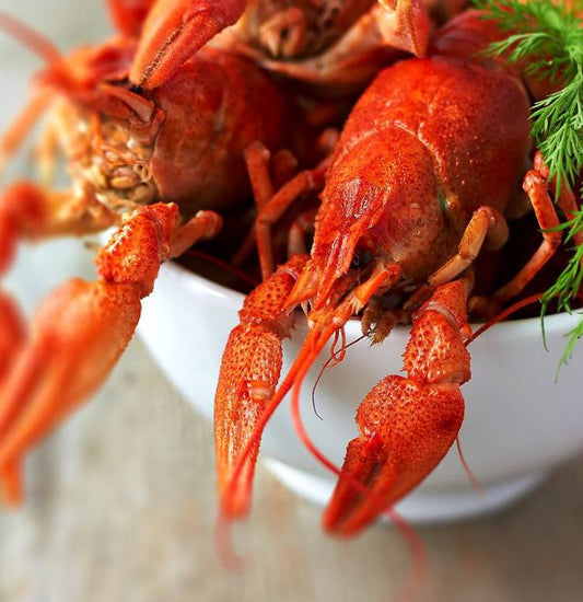 écrevisse cuitee,taille moyen 40-50gr